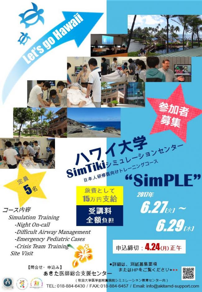 H29 SimPLE ちらし